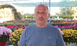 Bitki sezonu başladı: Kasımpatiler tezgâhlarda