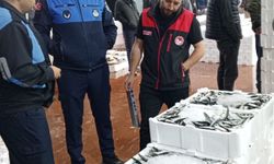 Bursa’da su ürünlerine denetim: 85 kasa istavrite el konuldu, 2 kişiye ceza