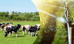 Çiftçilere 471 milyon liralık destekleme ödemesi bugün yapılacak