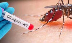 Çin'de Chikungunya ateşi hastalığı yayılıyor