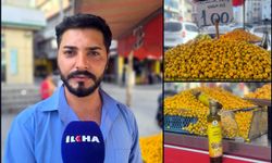 Dağlardan tezgahlara şifa geldi: Adana’da alıç sezonu başladı