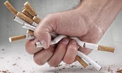 DSÖ: Dünyada her 5 yetişkinden 1'i tütün bağımlısı
