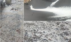 Elazığ’da ani dolu yağışı hayatı olumsuz etkiledi