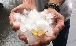 Elazığ'da dolu yağışı etkili oldu