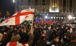 Finlandiya Dışişleri Bakanı Valtonen, Gürcistan'da skandala yol açtı