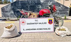 Gaziantep’te 11 hırsız suçüstü yakalandı