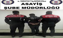 Gaziantep'te uyuşturucu operasyonu: Bir gözaltı