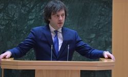 Gürcistan'dan ABD ve Avrupa ülkelerine "kınamama" tepkisi