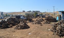 Havalar soğumaya başladı, odun fiyatları cep yakıyor