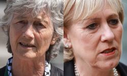 İrlanda yeni cumhurbaşkanını seçecek