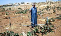 İşgalciler 400 dönümlük Filistin arazisine el koydu