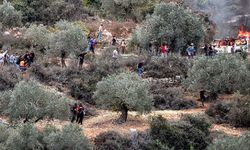 İşgalciler Kudüs'te iki genci yaraladı, 60 zeytin ağacını kökünden söktü