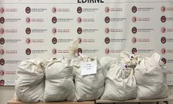 Kapıkule'de tır dorsesinde 113 kilogram uyuşturucu yakalandı