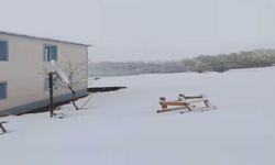 Karlıova’da kar yağışı etkili oldu