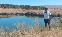 Mahalle sakinleri zehir saçan gölete acil çare bulunmasını istiyor