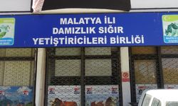 Malatya Damızlık Sığır Yetiştiricileri Birliği 'Birinci sınıf' seçildi