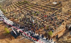 Malatya'da "Deprem Şehitleri Hatıra Ormanı" yenileniyor