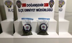 Malatya'da uyuşturucu operasyonu: 1 tutuklama