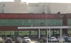 Mardin'de yanmış bir şekilde erkek cesedine rastlandı