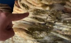 Mersin’de hijyen kurallarına uymayan 2 fırın kapatıldı