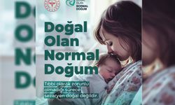 Prof. Dr. Yıldırım: Normal doğum sağlıklı nesillerin teminatıdır