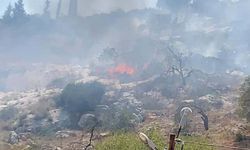 Silahlı Yahudiler El-Halil'de 3 Filistin çadırını yaktı