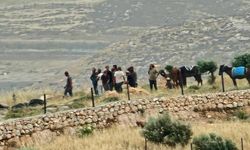 Siyonist çeteler, Filistinli 10 aileyi arazilerinden zorla çıkardı