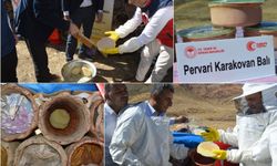  Türkiye’nin en kaliteli balları arasında yer alan Pervari balının hasadı başladı