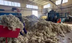 Unutulmaya yüz tutan yün yeniden değerlendiriliyor