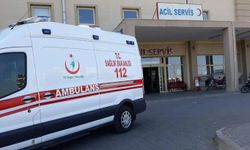 Van'da öğrenci servisi ile tırın çarpışması sonucu 14 kişi yaralandı