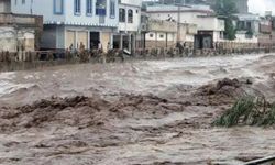 Vietnam'daki tayfunda ölü sayısı 51'e yükseldi