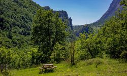 "Yeşil Vatan Seferberliği" başlatılacak