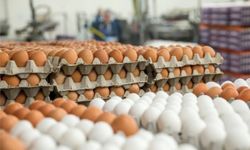 Yumurta tüketiminde sık yapılan 5 büyük hata