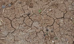 Ziraat Odası'ndan kuraklık uyarısı: Ciddi yağış olmazsa tarımsal üretim olumsuz etkilenecek