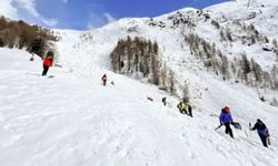 Alp Dağları'nda çığ düştü: 5 ölü