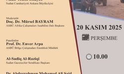 Ankara'da "Çatışmadan İstikrara ve Umuda Sudan" paneli düzenlenecek