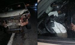 Araç koyun sürüsüne daldı 30 hayvan telef oldu