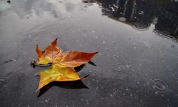 Batıda yağış, iç kesimlerde sis bekleniyor