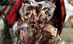 Batman'da kaçak et kesimine operasyon