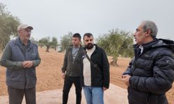 Bilim tarlaya indi: Üniversiteden köylüye uygulamalı zeytin hasadı eğitimi