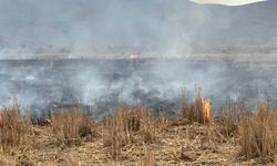 Bingöl'de anız yangını kısa sürede söndürüldü