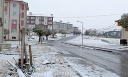 Bitlis mevsimin ilk karıyla beyaza büründü