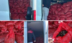 Bursa’da 2,5 ton kaçak midyeye el konuldu