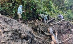 Endonezya'daki sel felaketinde 20'den fazla kişi kayıp