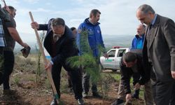 Gazze şehitleri için Bursa'da yüzlerce fidan dikildi