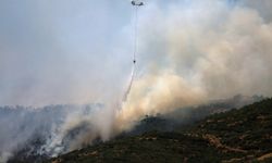 Hatay'da orman yangını 