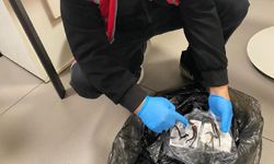 İstanbul Havalimanı’nda 5 bin canlı sülük ele geçirildi