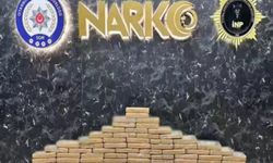 İstanbul'da 175 kilogram kokain ele geçirildi: 3 gözaltı