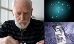 Japon araştırmacılar: Alzheimer ilacı lecanemab, plakları temizlese de beynin ‘çöp temizleme’ sistemini onarmıyor