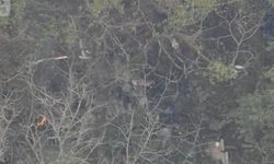 Japonya'da küçük uçak düştü: 3 ölü